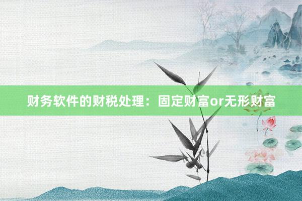 财务软件的财税处理：固定财富or无形财富