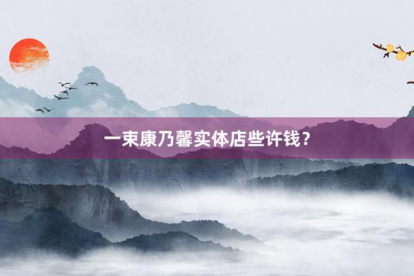 一束康乃馨实体店些许钱？