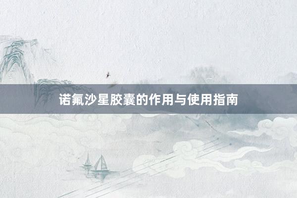 诺氟沙星胶囊的作用与使用指南