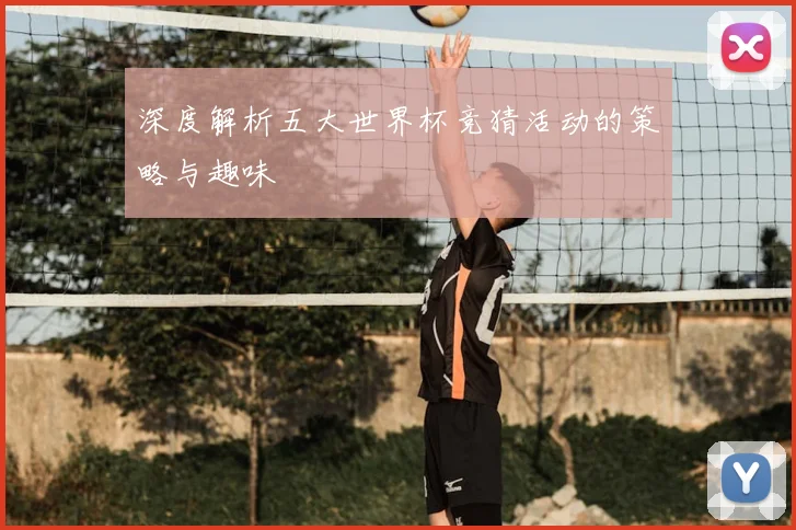 深度解析五大世界杯竞猜活动的策略与趣味