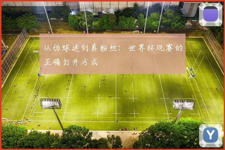 从伪球迷到真粉丝：世界杯观赛的正确打开方式